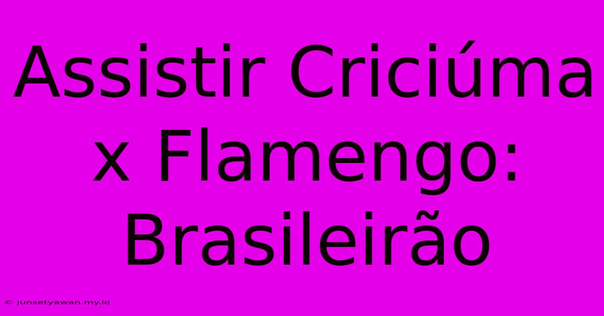 Assistir Criciúma X Flamengo: Brasileirão