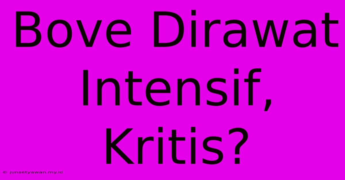 Bove Dirawat Intensif, Kritis?