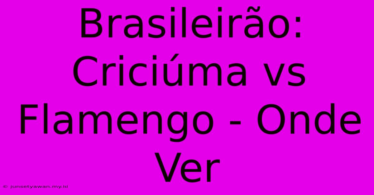 Brasileirão: Criciúma Vs Flamengo - Onde Ver