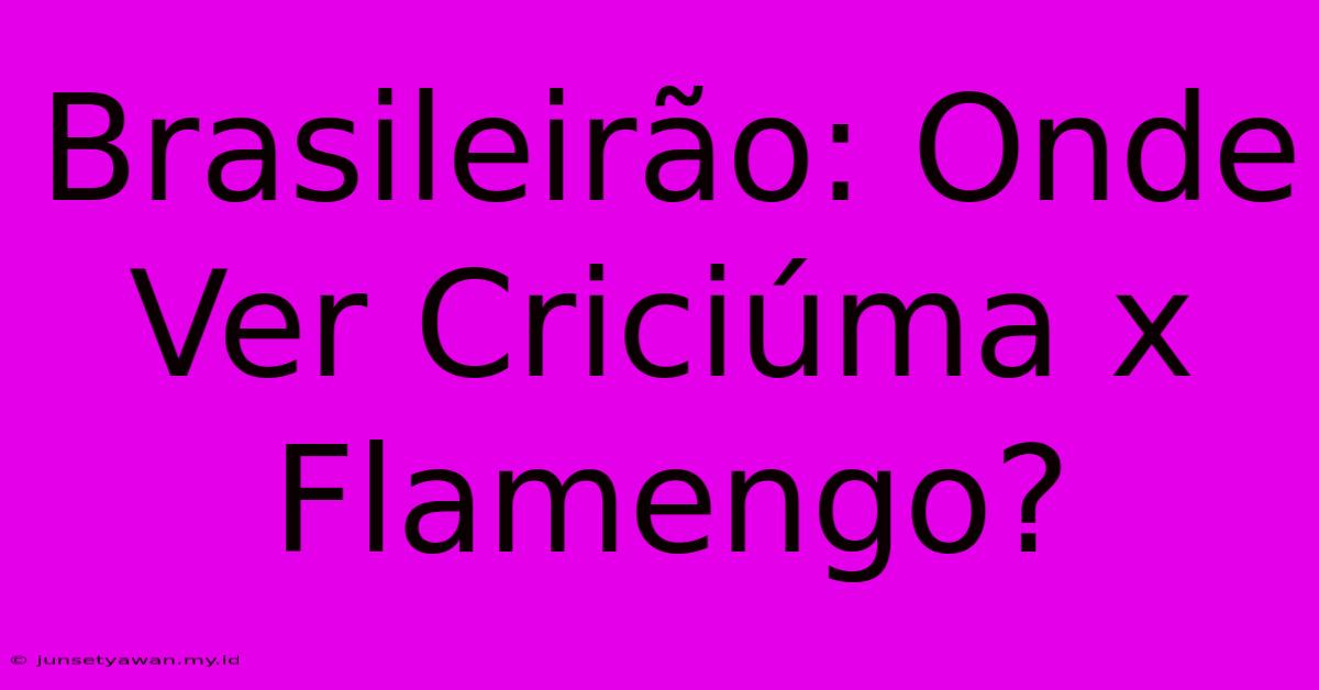 Brasileirão: Onde Ver Criciúma X Flamengo?