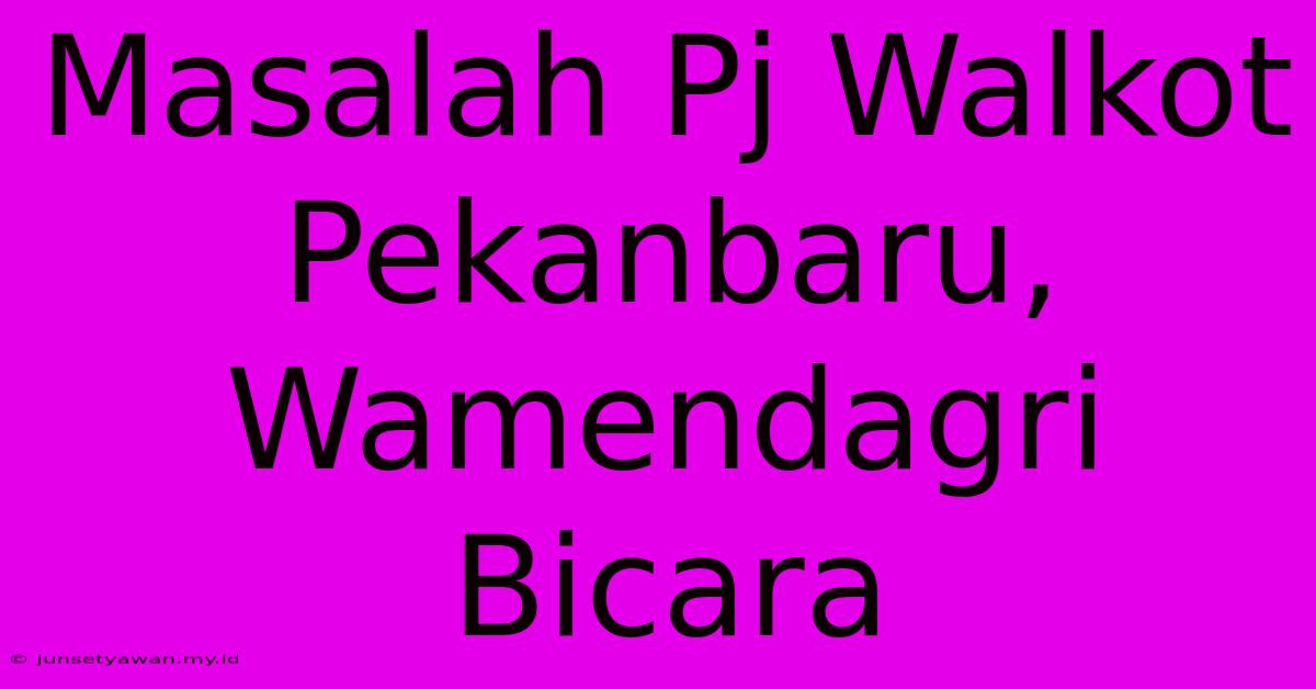 Masalah Pj Walkot Pekanbaru, Wamendagri Bicara